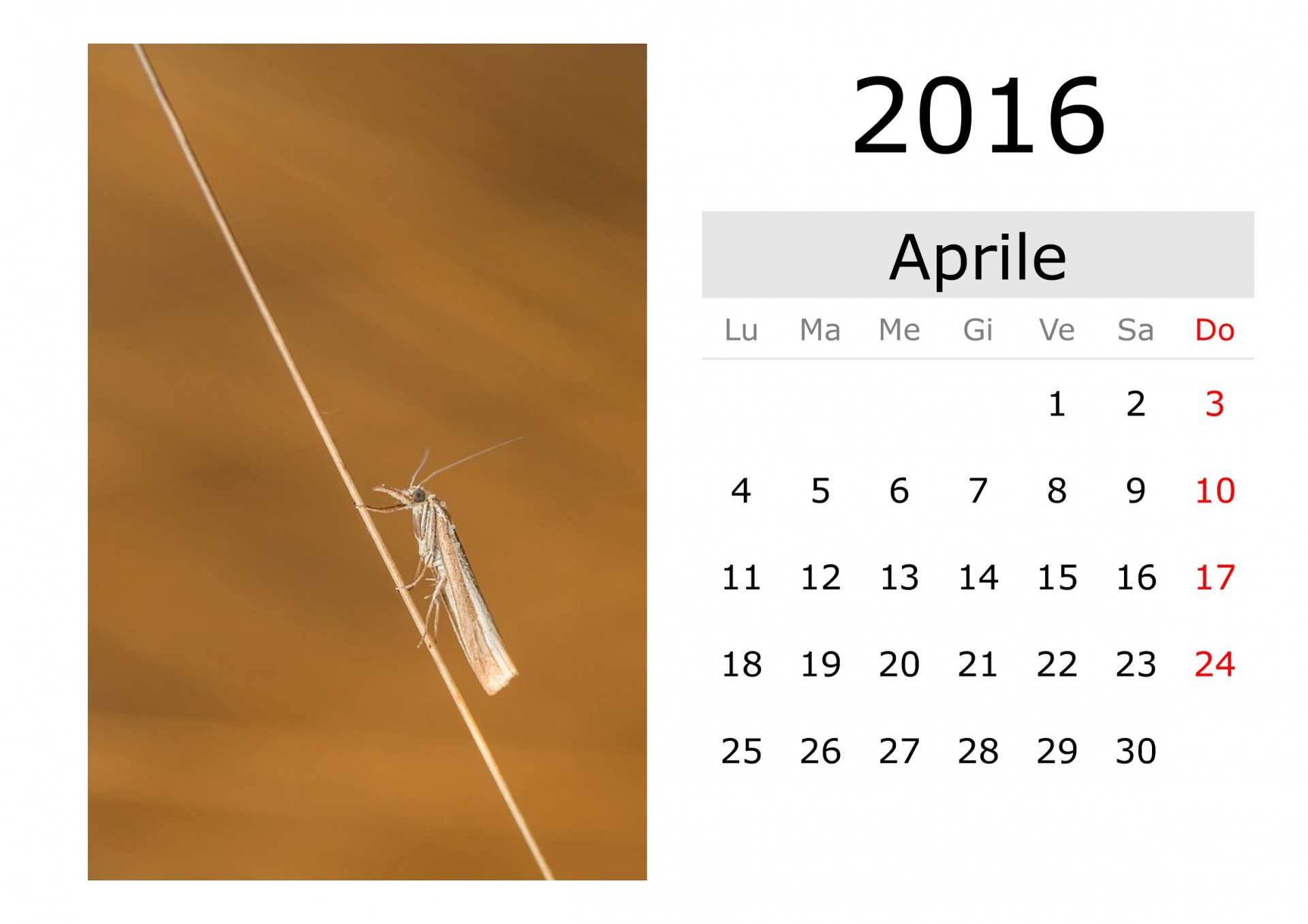 Calendar - April 2016 (Italian)
