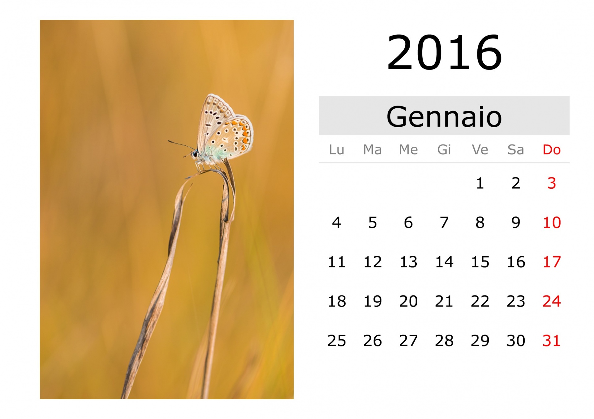 Calendar - January 2016 (Italian)