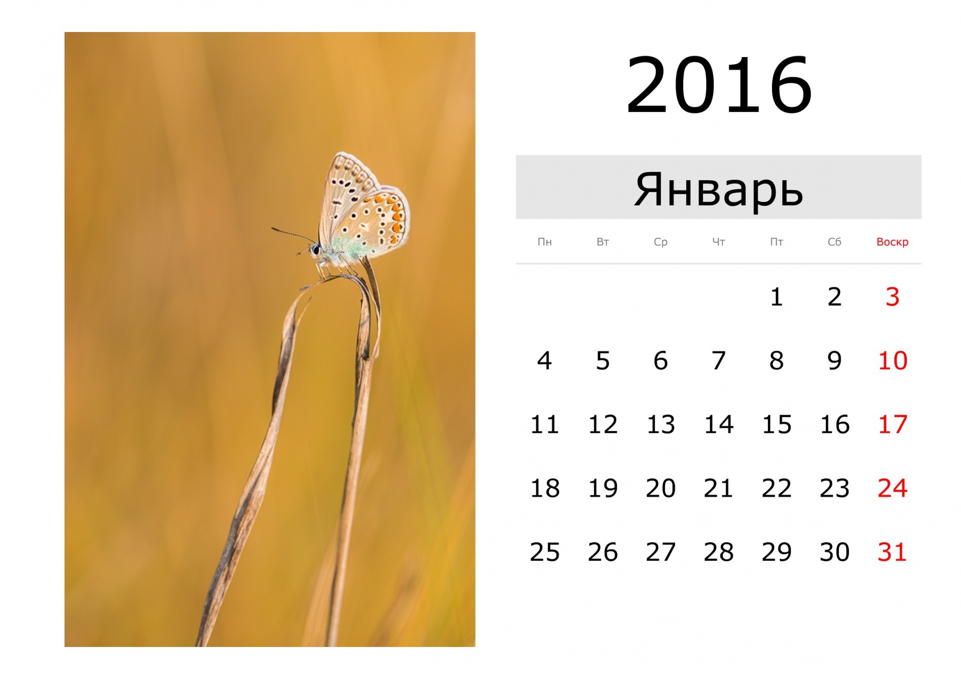 Calendar - January 2016 (Russian)