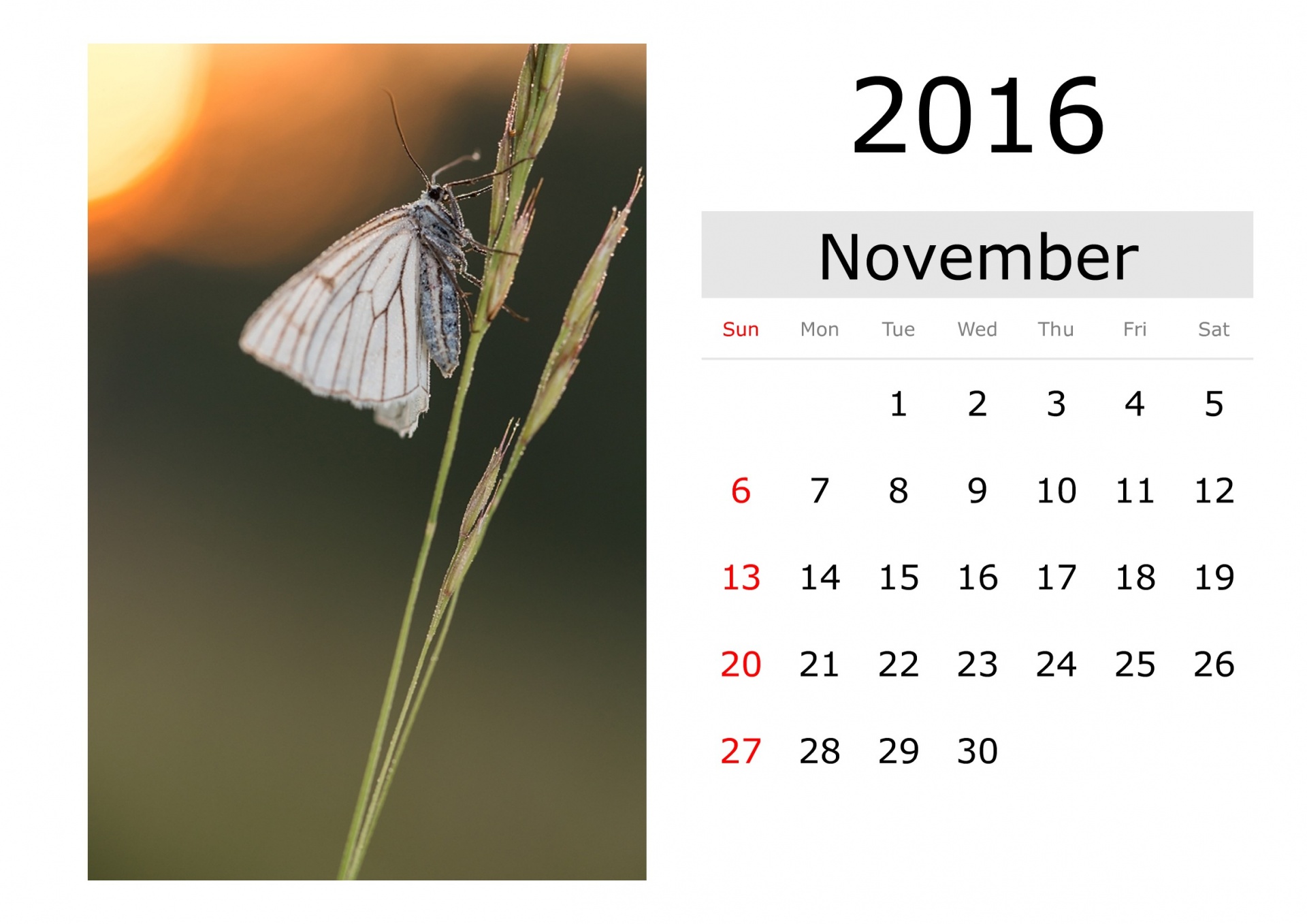 Calendar - November 2016 (English)