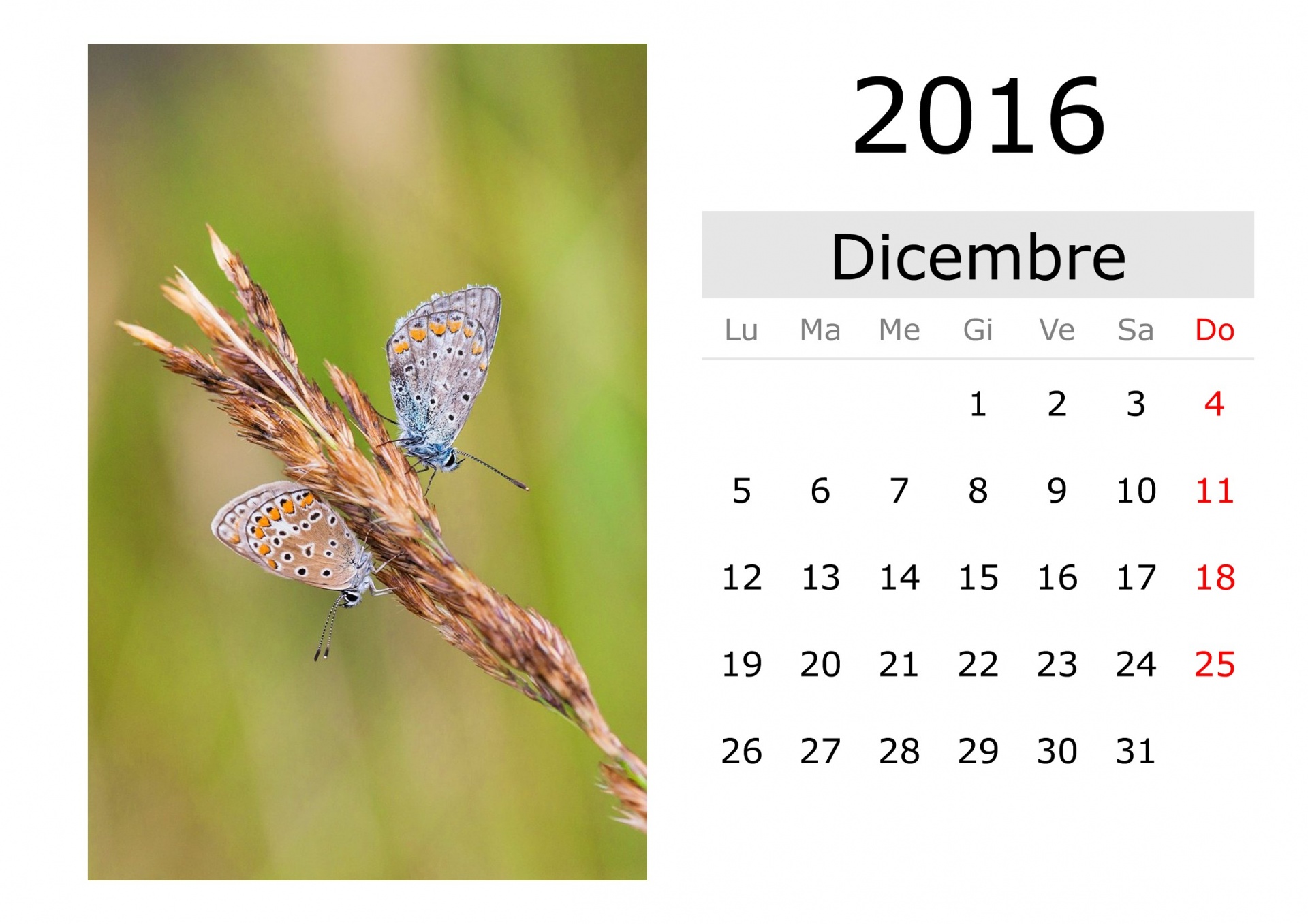 Calendar - December 2016 (Italian)