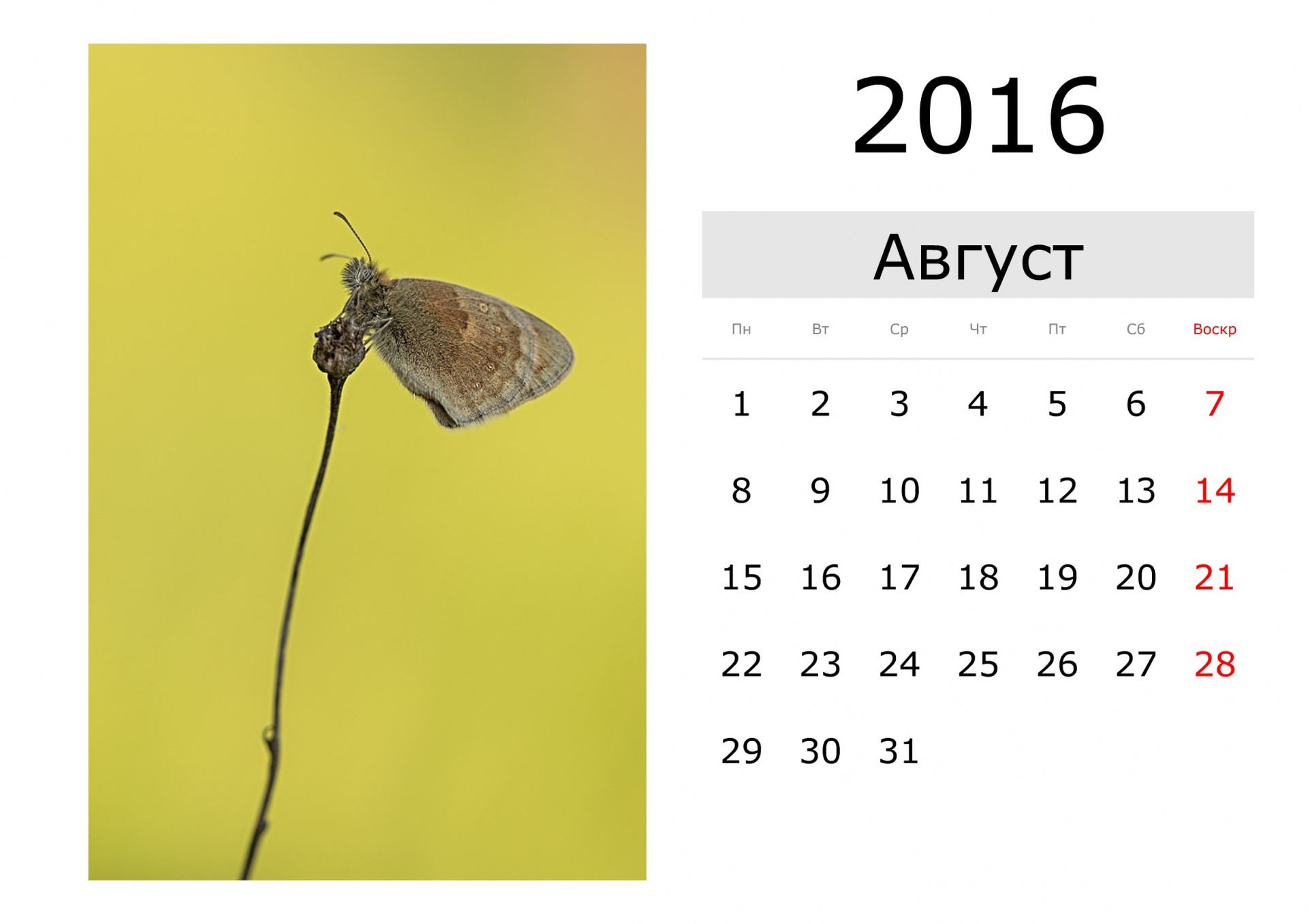 Calendar - August 2016 (Russian)