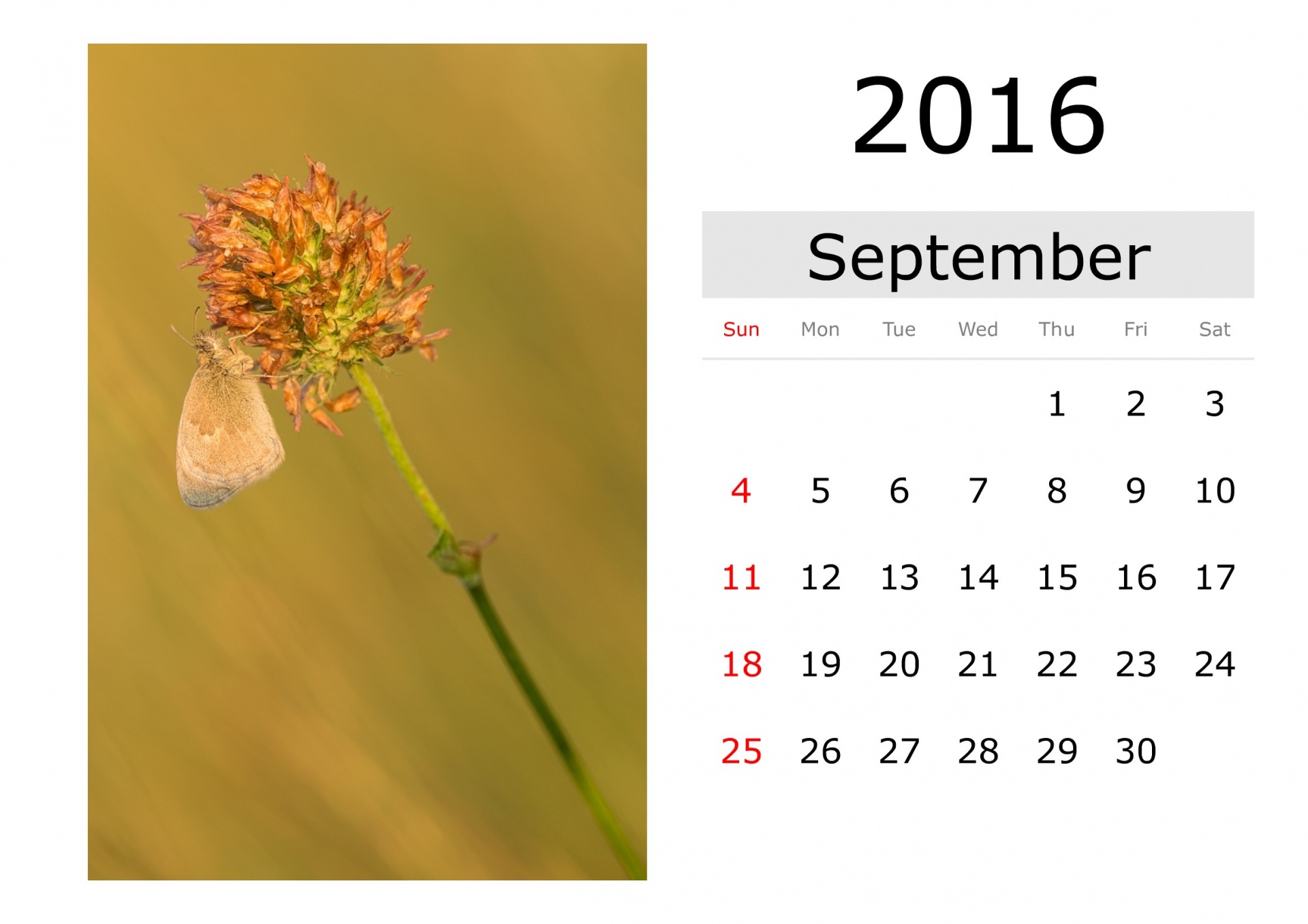Calendar - September 2016 (English)