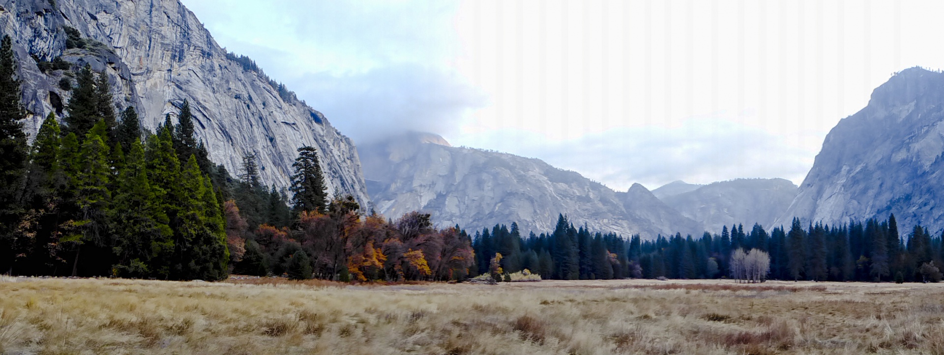 Panoramic view of grassy meadow at Yosemite in the Fall