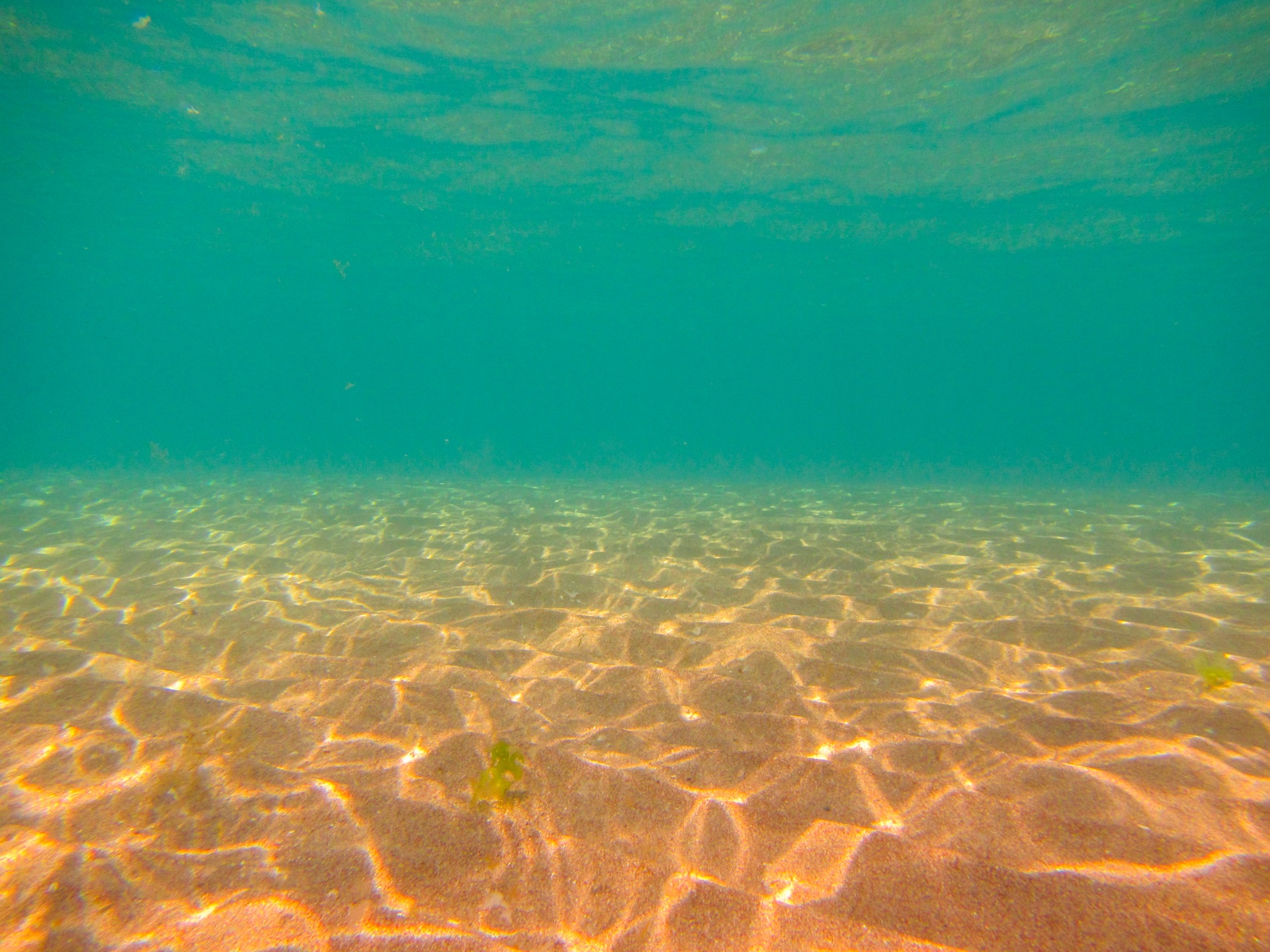Seabed underwater background image