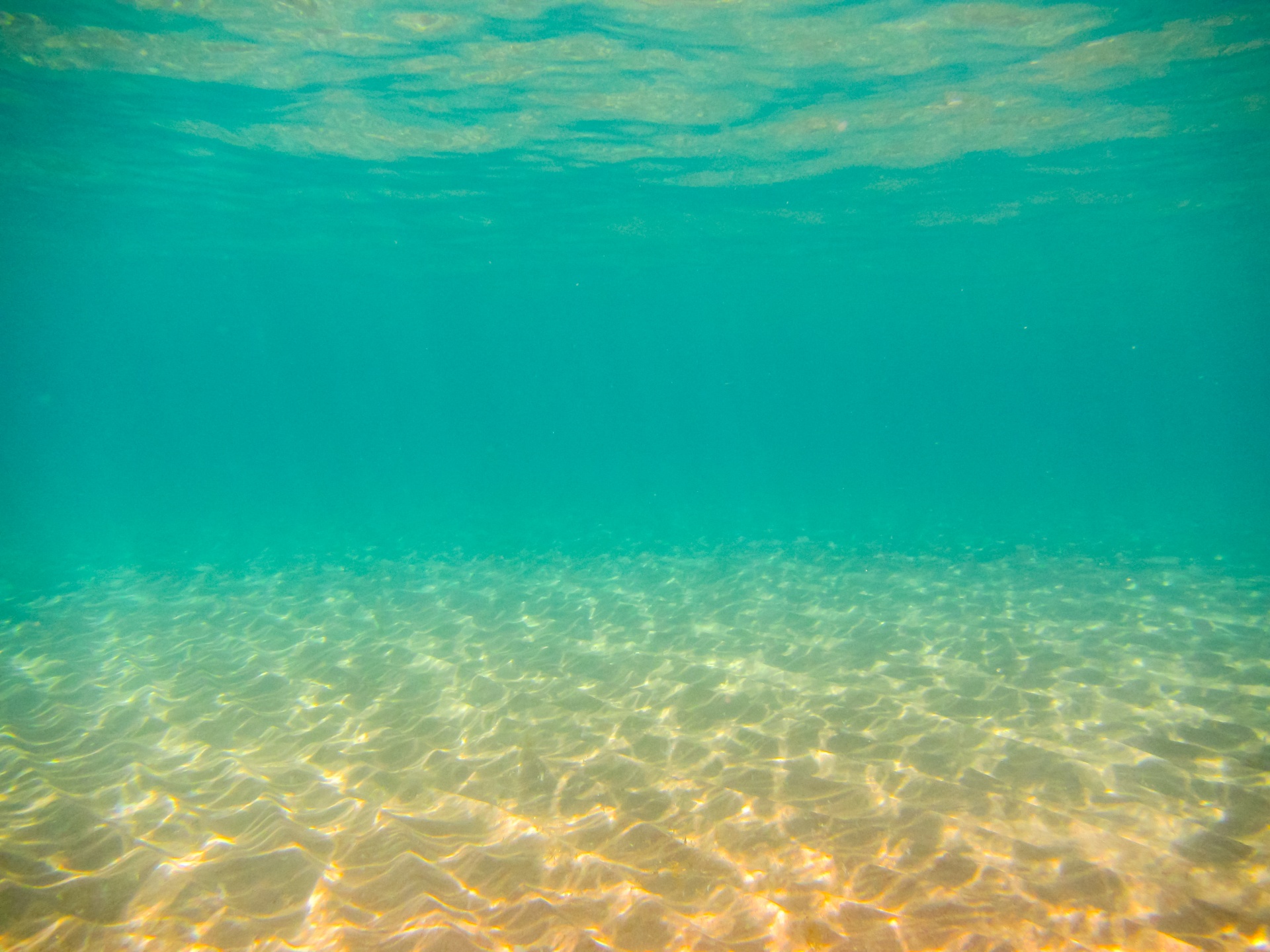 Seabed Underwater