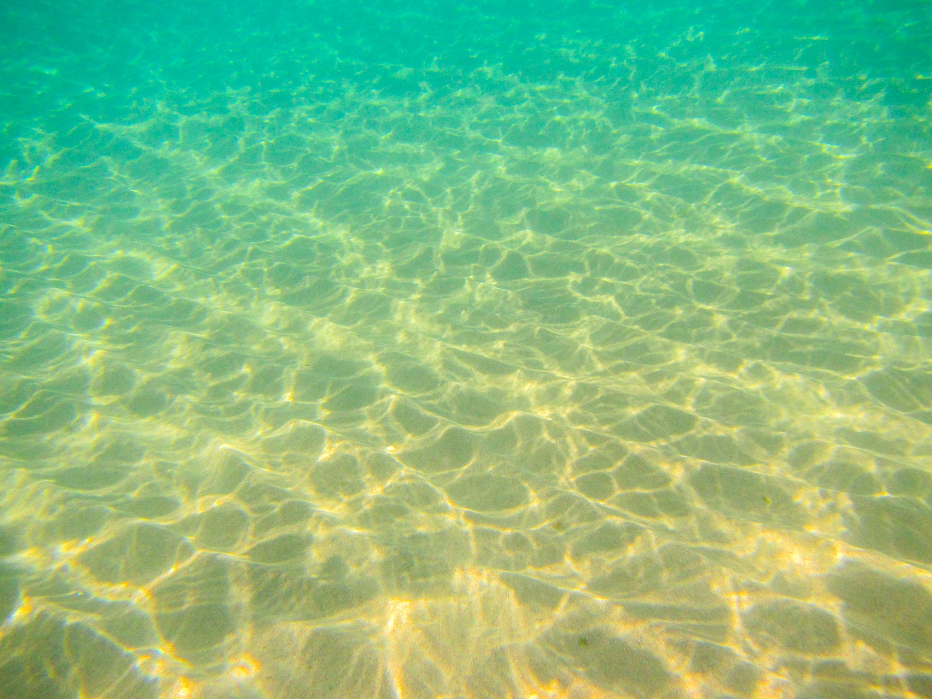 Seabed underwater background image