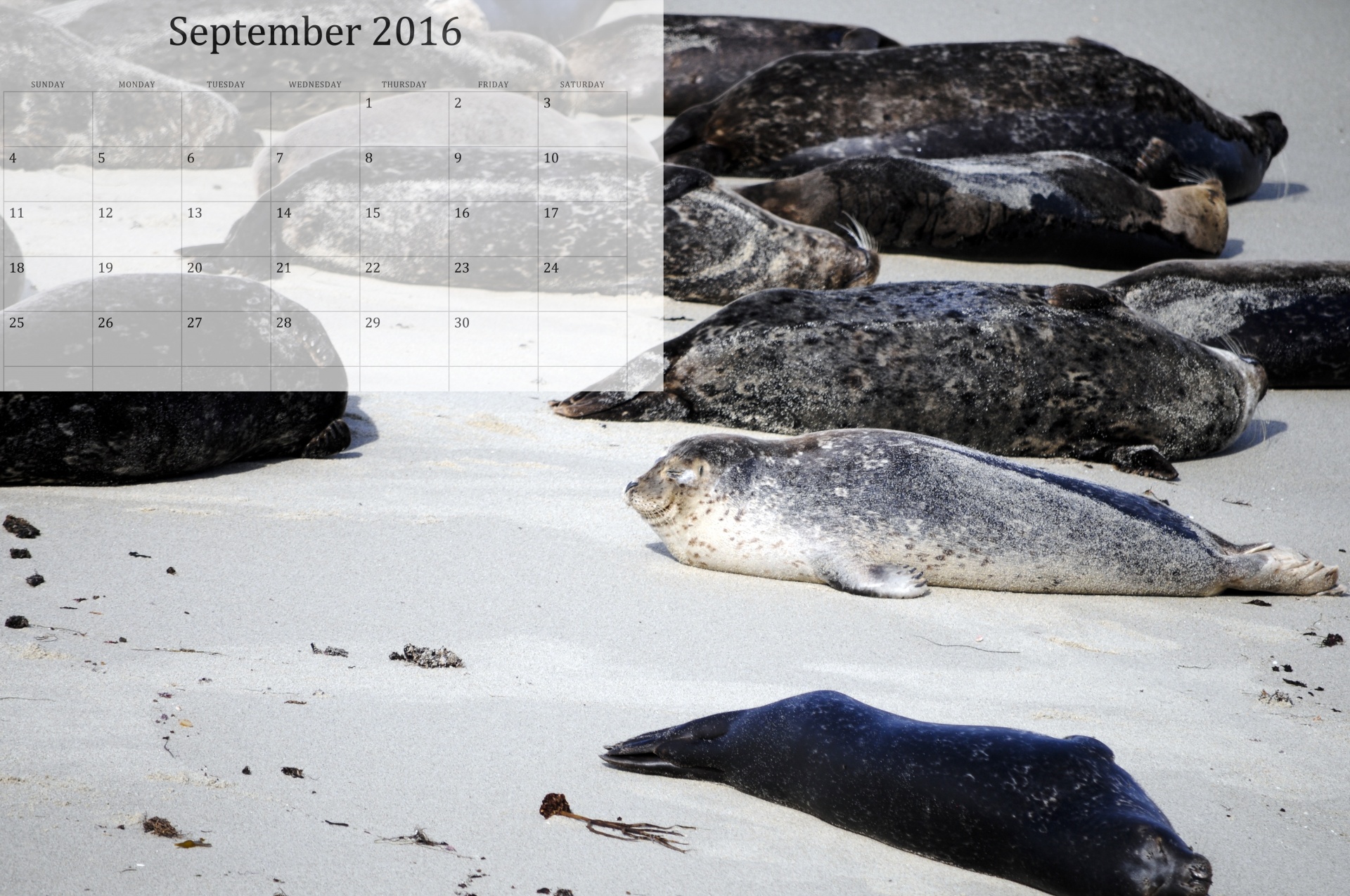 September 2016 Calendar Of Seals