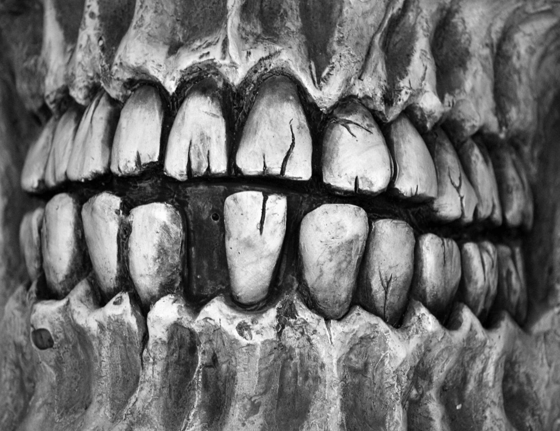 close up of a set of teeth from a smiling skeleton skull