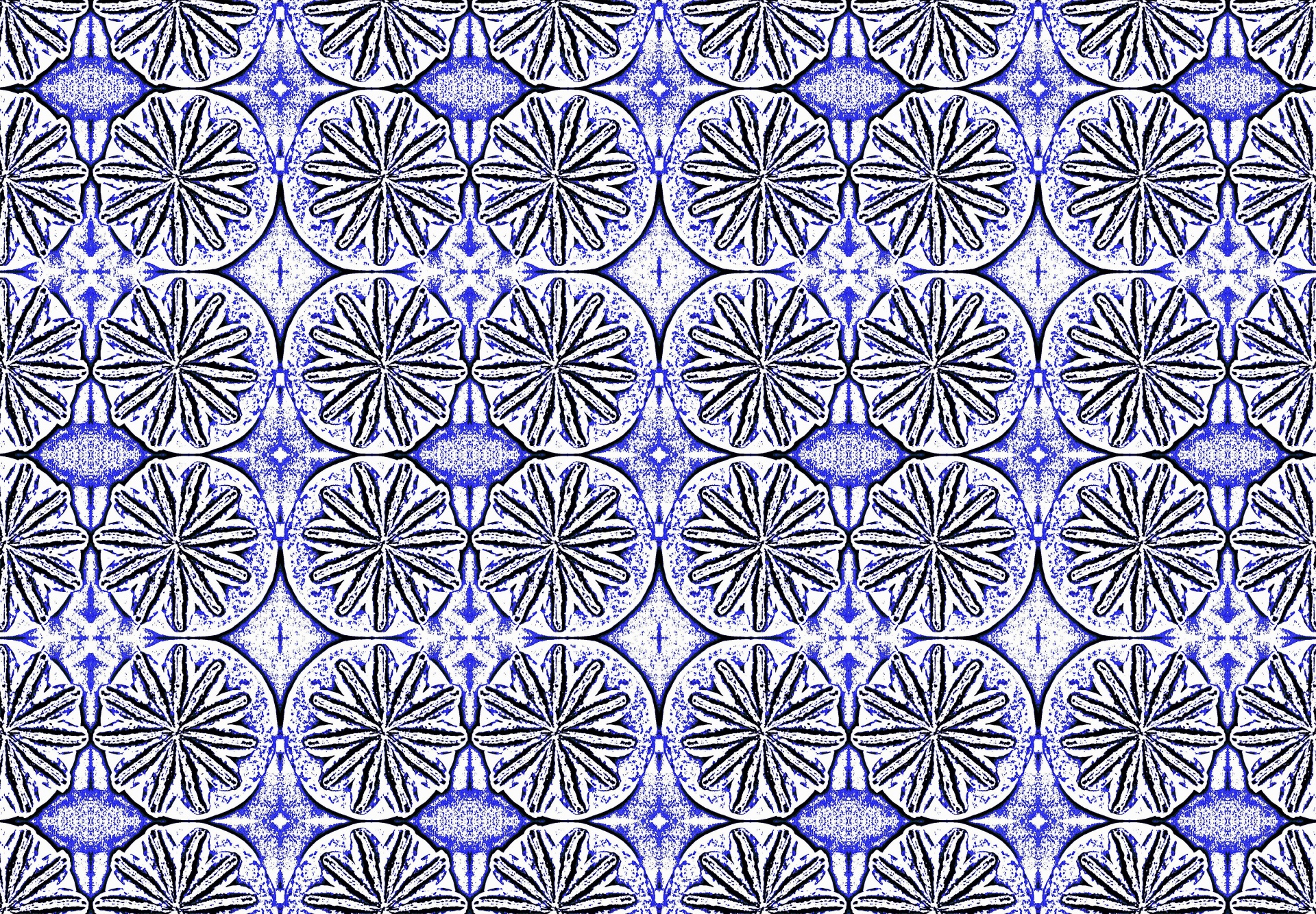 Star Pattern Print