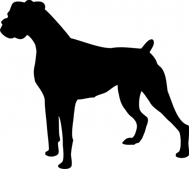 Boxer câine Poza gratuite - Public Domain Pictures