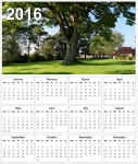 2016 Tree Calendar