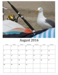August 2016 Calendar Of Wild Birds