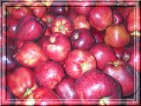 Background With Apples