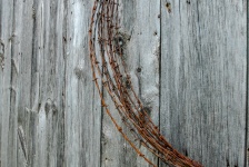 Barbed Wire On Barn