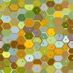 Beehive Colors