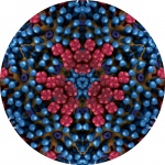 Blueberry Circle