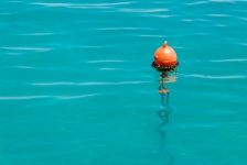 Buoy In The Water