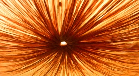 Burnt Orange Lantern Background