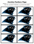 Carolina Panthers Flags For Kids