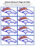 Denver Broncos Flags For Kids