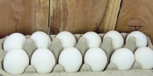 Dozen Eggs And Wooden Fence