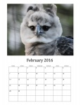 February 2016 Calendar Of Birds