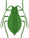 Gradient Bug
