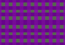 Grid With Purple And Green Blocks