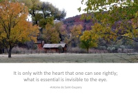 Inspirational Quote About The Heart