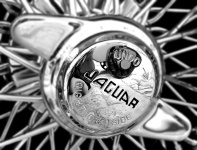 Jaguar Car Wheel