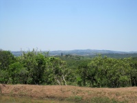 Kwazulu Natal Landscape