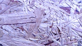 Lilac Wood Shavings Background