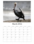 March 2016 Calendar Of Birds