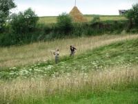 Men Working On A Field