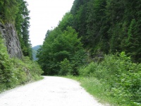 Mountain Walking Trail