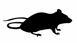 Mouse Silhouette Sitting