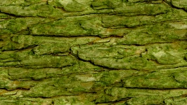 Olive Seamless Rock Wall Background