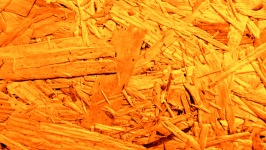 Orange Wood Shavings Background
