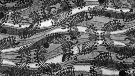 Pattern Background Black And White
