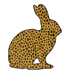 Puma Bunny