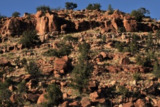 Red Rocks Mountain In Desert