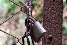 Rusted Lock And Fence