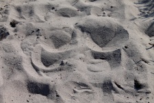 Sand Nature