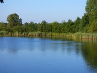 Landscape Lake