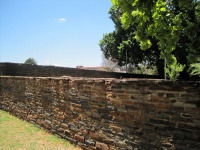 Stone Walls And Tree