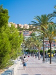 Street In Mallorca