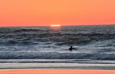 Surfer At Sunset