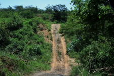 Trail In Thula Thula Game Reserve