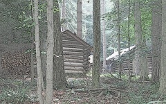 Woodland Cabins Photo Sketch